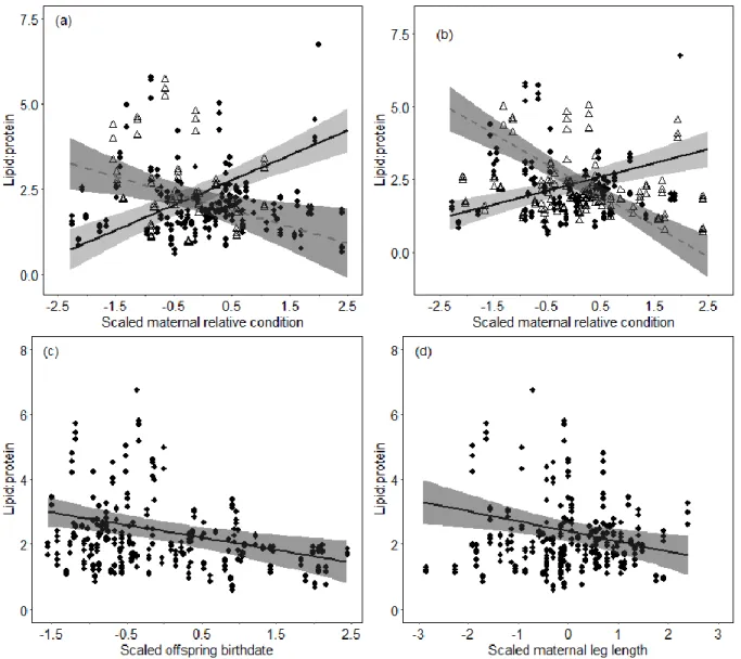 Figure  2.  Determinants  of  milk  lipid-to-protein  ratio  in  eastern  grey  kangaroos