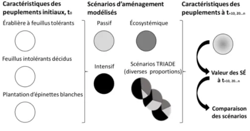 Figure 0.3 Schéma de la modélisation des scénarios d'aménagement sur les dié- dié-rents types de peuplements forestiers