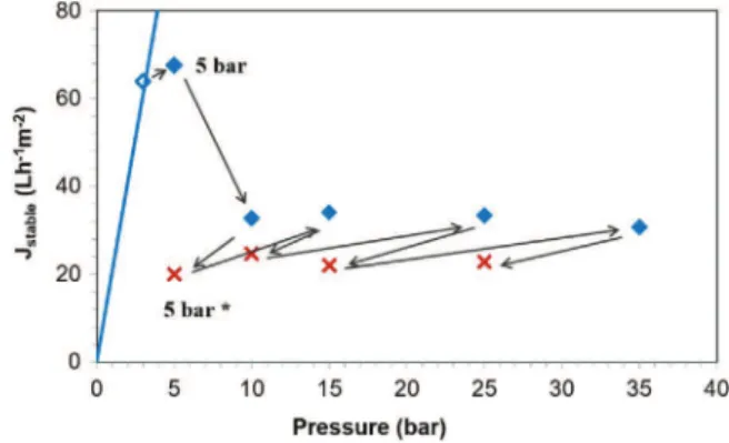 Fig. 4. Flux evolution following the experimental procedure over time: – the continuous line represents the applied pressure; the dotted line denotes the permeate ﬂux.