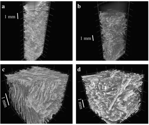 Fig. 3. μCT images of PLGA scaffold S0 (a, c) and PLGA-apatite scaffold S40 (b, d): total height in the center of the scaffold (a, b) and zoom within this region (c, d).