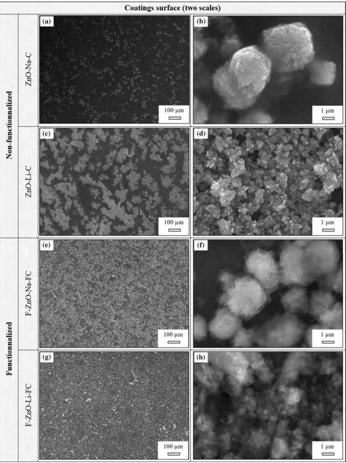 Figure 4 SEM images coatings: ZnO-Na-C a and b, ZnO-Li-C c and d, F-ZnO-Na-FC e and f and F-ZnO-Li-C g and h.