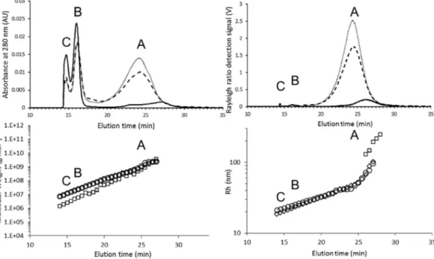 Fig. 3. AsFlFFF determination of structural characteristics of casein aggregates in suspensions