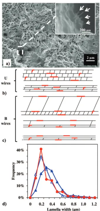 Fig. 4. a) SEM images of the fracture surface of the CNT-Cu U wire 0.506 mm in diameter