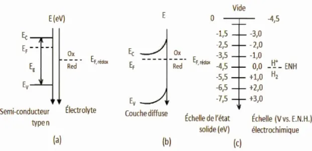 Figure  1.10  Formatio n  d ' une  couche  di ffuse  à  l' intéri eur  d ' un  semi- conducteur  de  typ e  n  en  co ntact  avec  un  mili eu  électrolytique  co ntenant  un  co upl e  rédox  Ox/Red :  (a)  avant  la  formati on  de  la  j oncti on,  (b) 