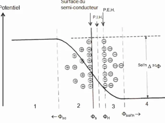 Figure 1.12  Vari ation du  potent iel  à  l' interphase se mi-conducteur  (type n)/électrolyte  en  absence  d' états  de  surface  et  d' ions  adsorbés  spécifi qu ement  dans  le  plan  interne  de  Helmholtz :  P.l.H