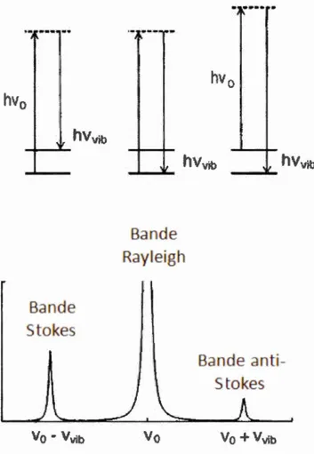 Figure  2.3  Diagrammes  et  spectres  comportant  les  mécanismes  de  Rayleigh  et  de  diffusion  Raman,  avec  V 0  et  Vovib  sont  respectivement,  la  fréquence  de  la  lumière  incidente  et  la  fréq uence  de  vibration  de  la  molécule