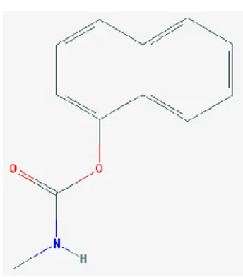Figure 1.5, Structure du carbaryl. (https://pubchem.ncbi.nlm.nih.gov/compound/carbaryl) 