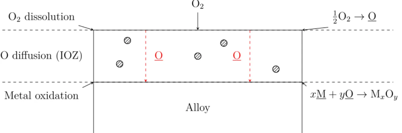 Figure 1.6: Internal oxidation steps in the absence of an outer scale.