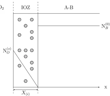 Figure 1.7: Schematic representation of concentration profiles in the IOZ and in the alloy during internal oxidation if N O (s) D O >> N B (0) D B .