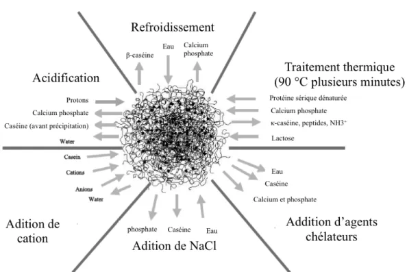 Figure 1.6: La composition de la micelle selon les différents traitements physicochimiques appliqués