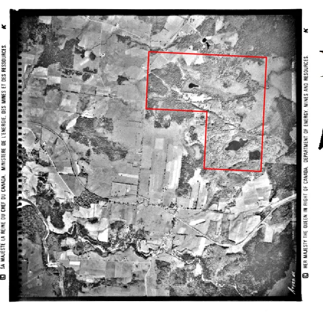 Figure 1. 1945 aerial photo of Johnville  Ecoforest Park.  526 