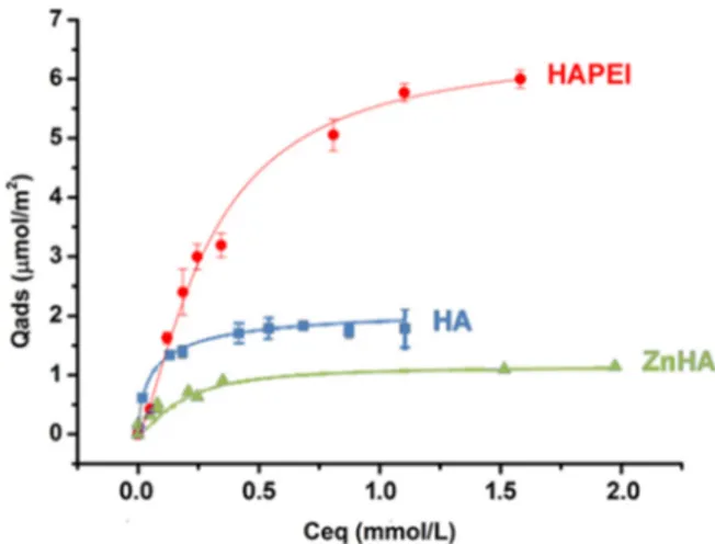 Fig. 2. Adsorption isotherms of risedronate on hydroxyapatite (HA), Zn-substituted hydroxyapatite (ZnHA) and PEI-modiﬁed hydroxyapatite (HAPEI) at pH 7.4 and 37 ◦ C