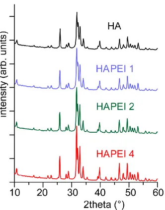 Figure S1. Powder X-ray diffraction patterns of the apatitic samples synthesized in the presence of  different PEI concentrations in solution (HAPEI 1, HAPEI 2 and HAPEI 4 for 1 M, 2 M and 4 M of  PEI in solution, respectively), compared with HA (without P
