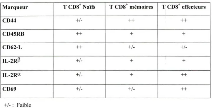 Tableau  1.  Différents marqueurs de surfaces retrouvés  chez les  lymphocytes T  CD8+ au  stade naïf, mémoire et effecteur (Dutton et al., 1998)
