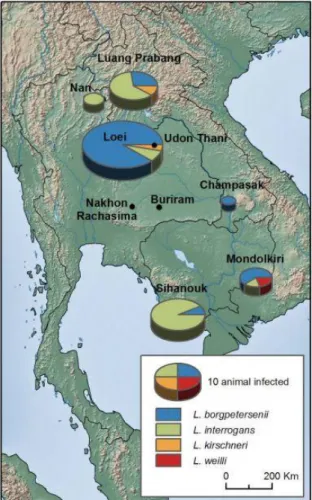 FIGURE 6 Geographic distribution of Leptospira infection in rodents from Thailand, Lao PDR and Cambodia