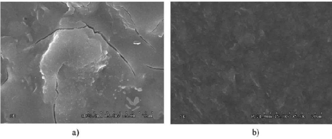 Figure 3-3 : Microscopie après 4000 h d’irradiation de : a) composite fibre de  verre/polyester et b) composite fibre de verre/polyester enrobé d’un film 