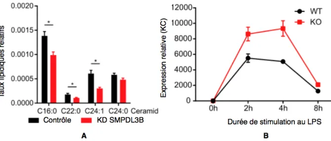 Figure 7 : exemples des conséquences que peuvent avoir les modifications de la composition  lipidique membranaire