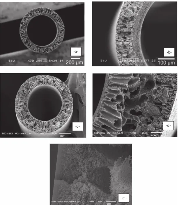 Fig. 4 – SEM images of the dual-layer MMM (Membrane 2: -a- and -b-; Membrane 1: -c-, -d- and -e-).