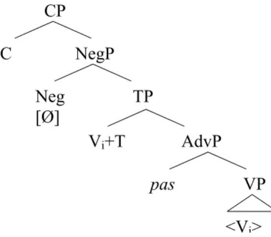 Figure 2. The structural representation of negation in Laurentian French.  This structure is similar to the Paduan structure argued for by Zanuttini with the 