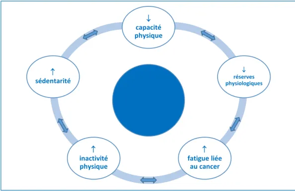 Figure 1.2 - Spirale du déconditionnement physique en oncogériatrie 