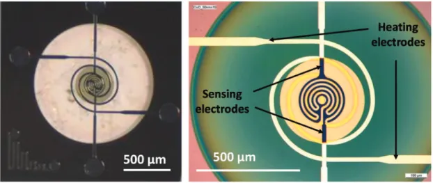 Figure 7. Images obtained by optical microscopy of a micro heater coated in the center with a p-type CuO semiconducting layer.