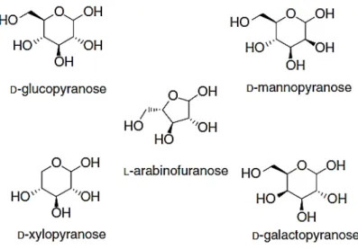 Figure 2-8 Quelques monosaccharides entrant dans la composition de l’hémicellulose [56]