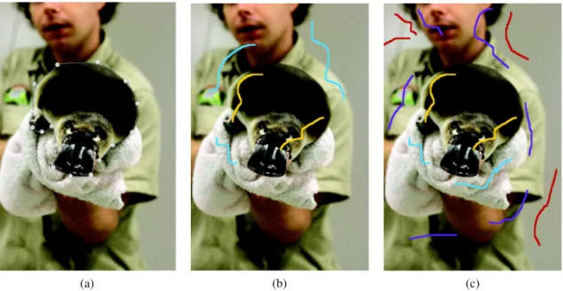 Fig. 2 User interaction for the different categories of interactive segmentation methods