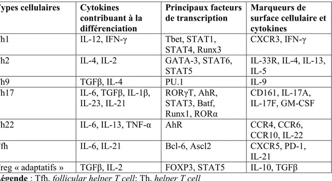 Tableau 8. Sous-populations de lymphocytes T CD4 effecteurs   (Brucklacher-Waldert et al., 2014) 
