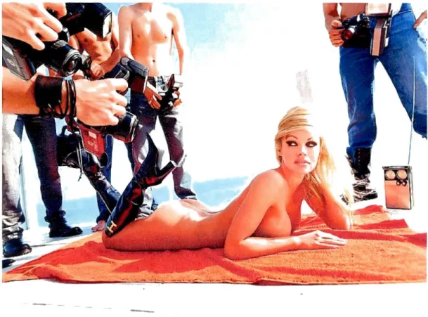 Figure 4.1  Vo/uptuous Attention,  2001 