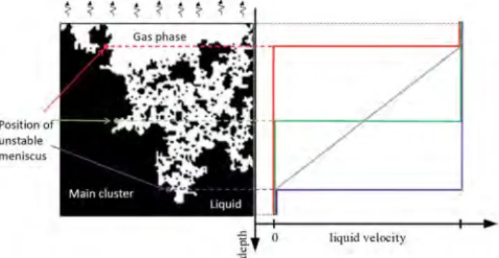 FIG. 11. A 2D schematic phase distribution in a porous sample during capillary-dominated drying (left picture) and three velocity profiles of  sin-gle invasion events corresponding to three different positions of the unstable meniscus and their average (in