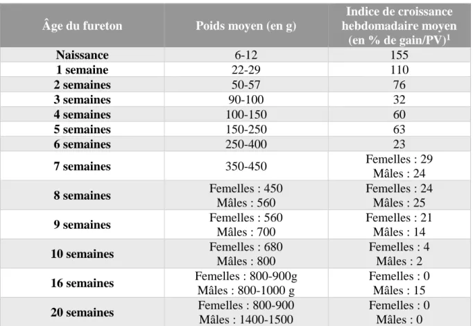 Tableau 17 : Indication du poids moyen des furetons en fonction de leur âge (3, 10, 41, 123)