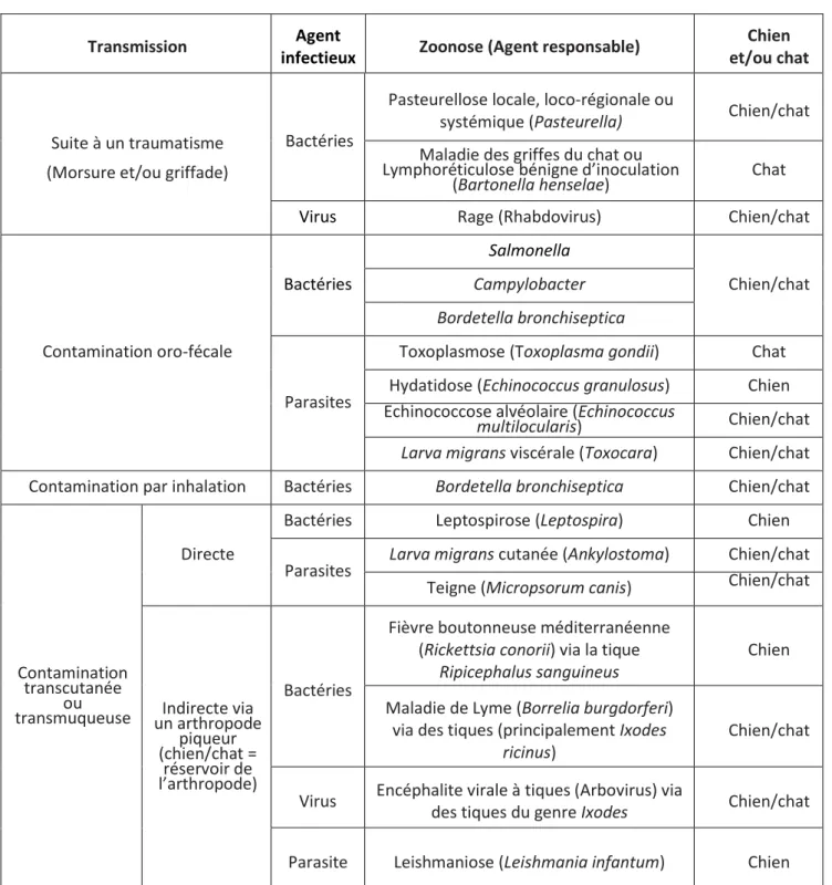 Tableau  1  :  D’après  Murthy  et  al.,  2015  et  Piémont  et  al.,  2000.  Principales  zoonoses  transmises par le chien et le chat