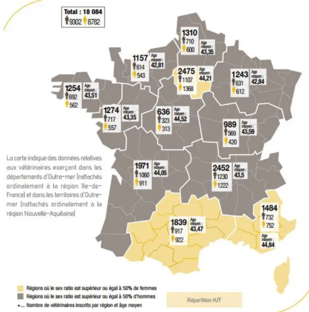 Figure  4  :  Répartition  des  vétérinaires  hommes/femmes  travaillant  dans  le  secteur  libéral  en  France au 31 décembre 2015 (39) 