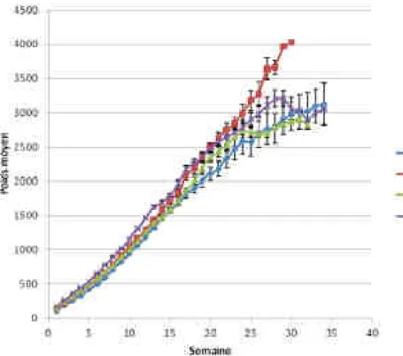 Figure 25 : Influence du poids de naissance sur la croissance pondérale du chaton (Felis catus)  Dans l’ordre de poids de naissance croissant : n = 82 ; n = 86 ; n = 78 ; n = 87 