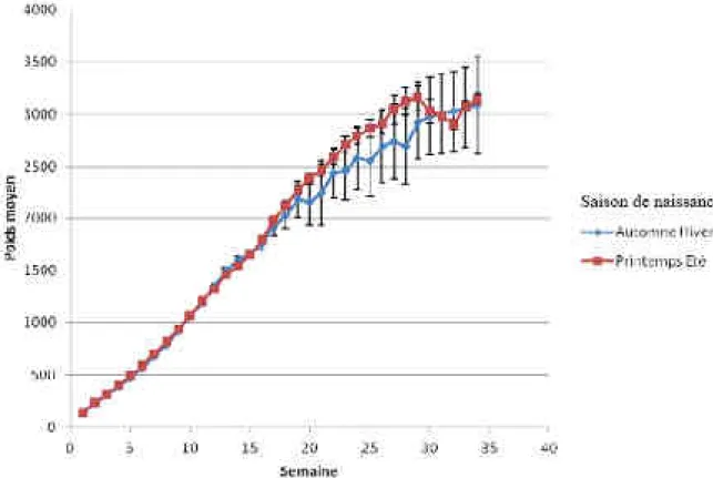 Figure 29 : Influence de la saison de naissance sur la courbe de croissance du chaton (Felis catus)  (Naissance en automne/hiver : n = 123