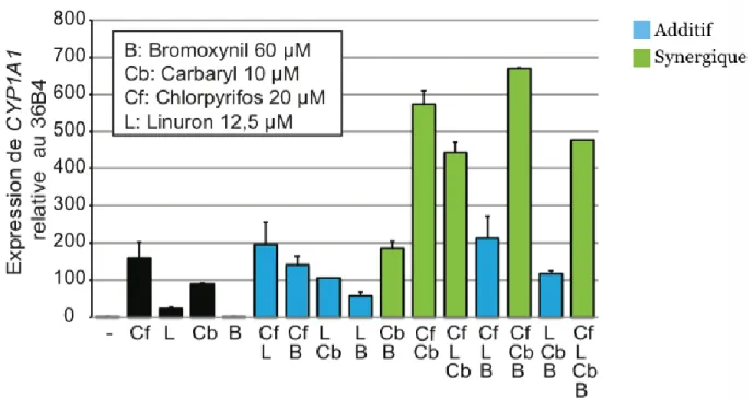 Figure 11:  Courbe dose-réponse des MCF-7 suite au traitement avec diverses                       combinaisons de quatre ingrédients actifs de pesticides