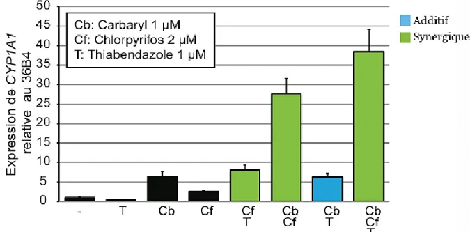 Figure 13: Courbe dose-réponse des cellules MCF-7 suite au traitement avec diverses                     combinaisons de trois ingrédients actifs de pesticides à faible concentration