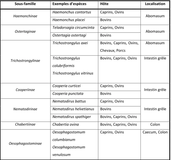 Tableau 1 : Les sous-familles des nématodes gastro-i testi au àave àe e plesàd esp es,àleu àh teàetàleu àlo alisatio à hezàl h teà (Chabertiinae = famille des Strongyloidea ; autres sous-familles = famille des Trichostrongyloidea) (Source : Euzéby, 1963) 