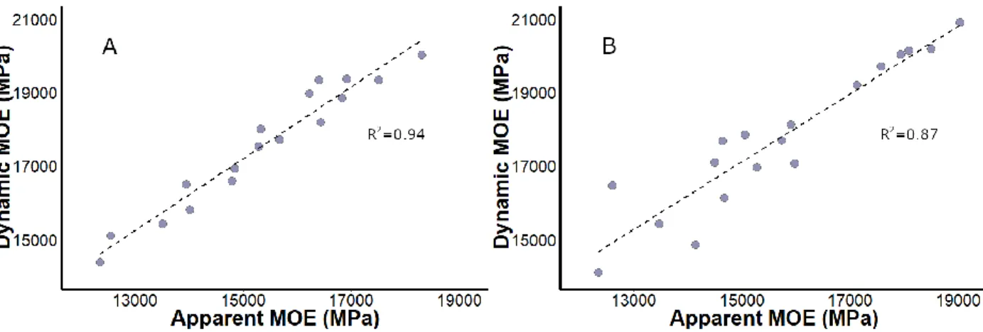 Figure 5. Dynamic MOE values plotted against the apparent MOE measured in third point bending for white ash (A)  and yellow birch (B)