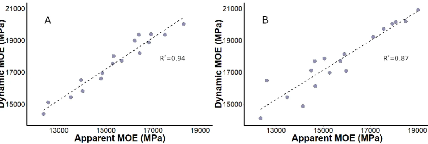 Figure 5. Dynamic MOE values plotted against the apparent MOE measured in third point bending for white ash (A)  and yellow birch (B)
