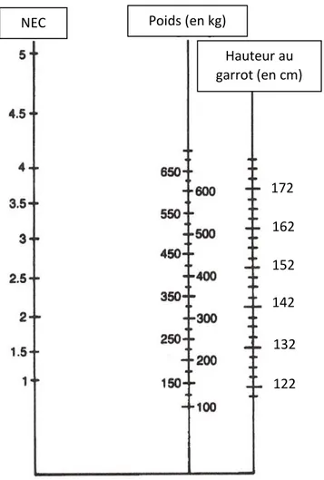 Figure 4 : Nomogramme permettant l’estimation du poids vif en fonction de la note d’état corporel selon la  formule de CARROLL et HUNTINGTON (1988)