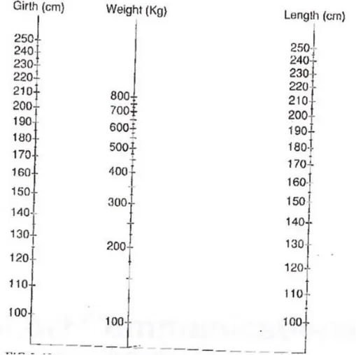 Figure 5 : Nomogramme permettant l’estimation du poids vif selon la formule de JONES (Jones et al., 1989)
