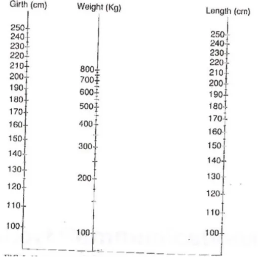 Figure 5 : Nomogramme permettant l’estimation du poids vif selon la formule de JONES (Jones et al., 1989)