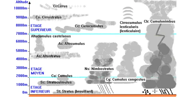Figure 1.2: Classification nuageuse (http://cyclonextreme.com)