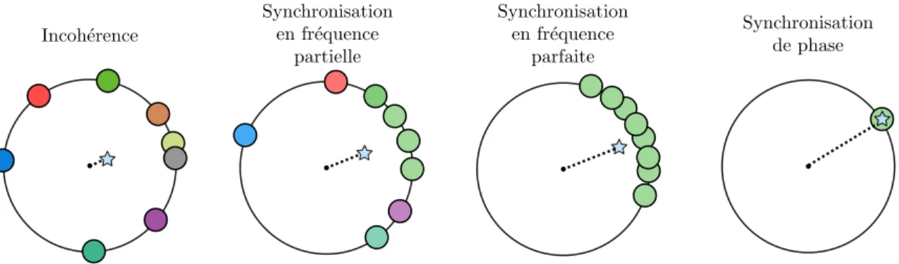 Figure 1.16 – Illustration intuitive de la synchronisation en fréquence et en phase. Les différentes couleurs des oscillateurs représentent différentes vitesses angulaires