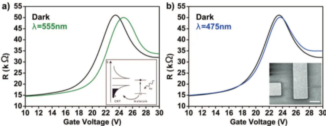 Figure 3.  Raman spectra of DWNT/TPPZn under white light illumination measured at a) 532 nm and b) 488 nm