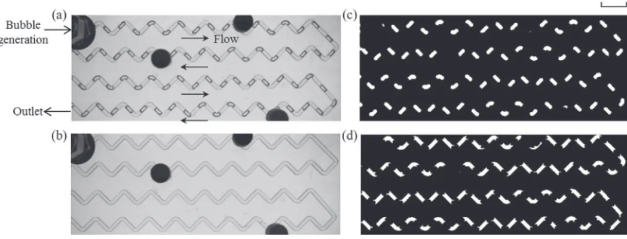 Fig. 2. Sequence of image processing. (a) Typical raw image of gas-liquid flows. (b) Raw image of the channel filled with liquid phase