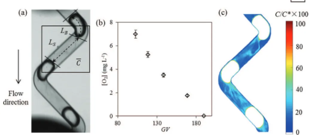 Fig. 3. Gas-liquid mass transfer experiments: (a) Typical raw image, where C corresponds to the averaged equivalent oxygen concentration in the liquid slug, and at this axial location in the meandering channel, C measured refers to the black rectangle