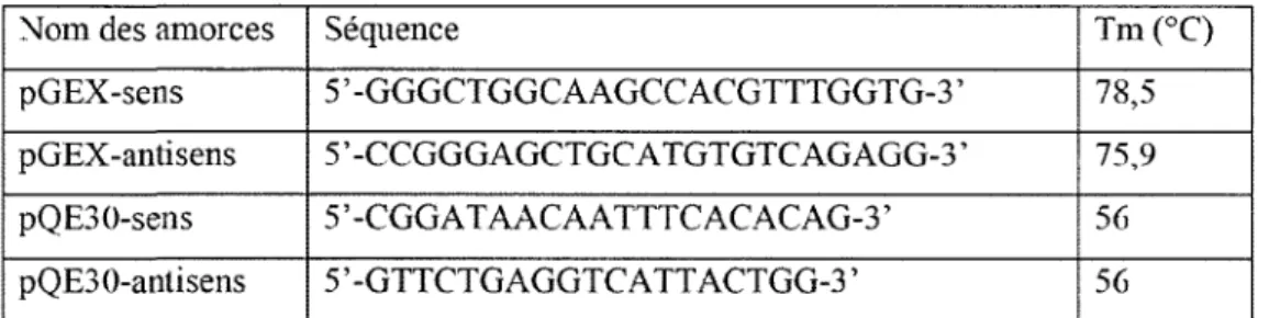 Tableau 3 : Liste des amorces utilisées pour le séquençage des plasmides pour la  production de protéines recombinantes 