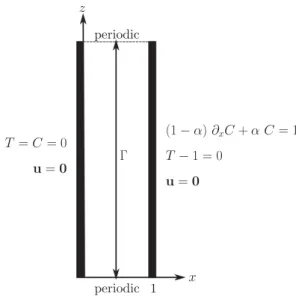 FIG. 1. Sketch of the geometry indicating the assumed dimensionless boundary conditions.
